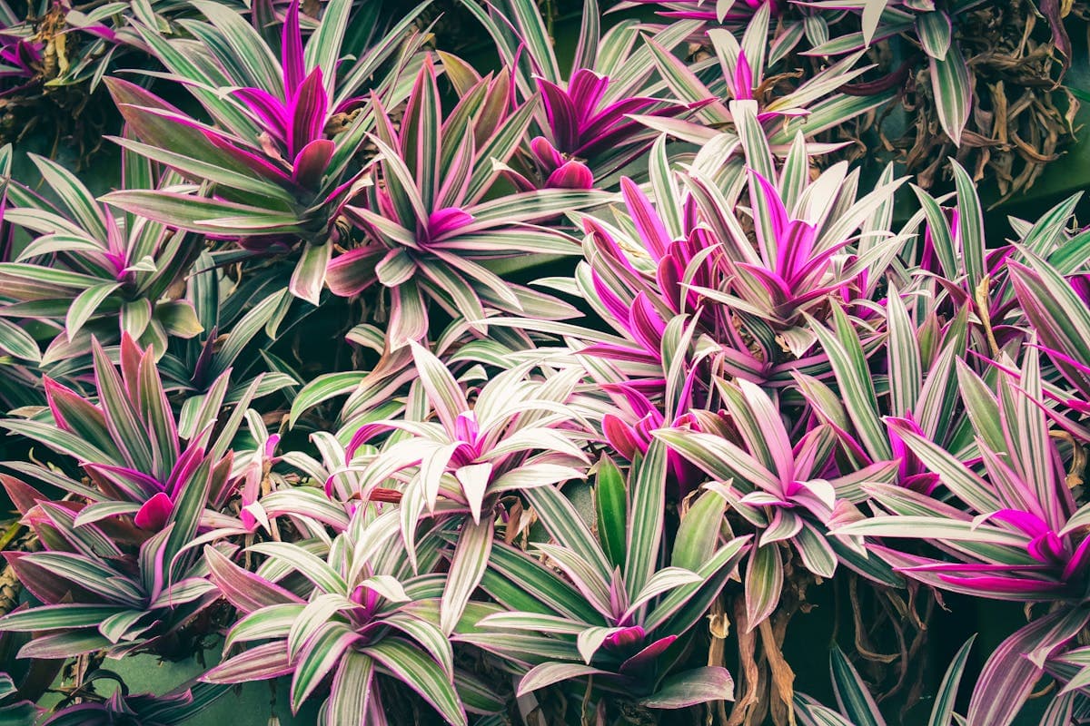 Leitfaden fĂĽr verantwortungsvolles Spielen